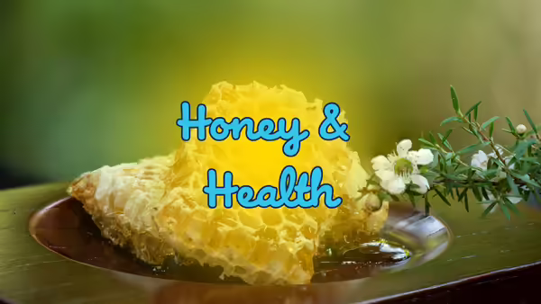 honeycomb and white flower