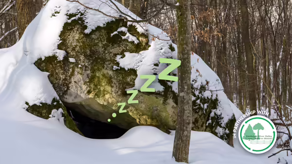 A snow covered rock with "zzzzzzzz" coming from the entrance 