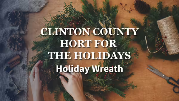 hand making a wreath
