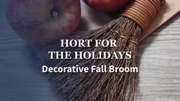 broom and apple