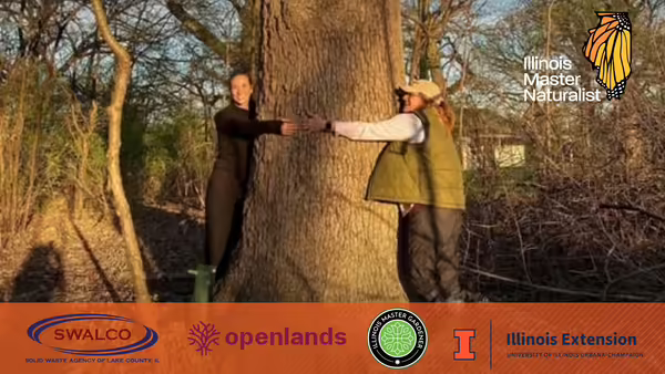 2 people hugging an oak tree out in nature 