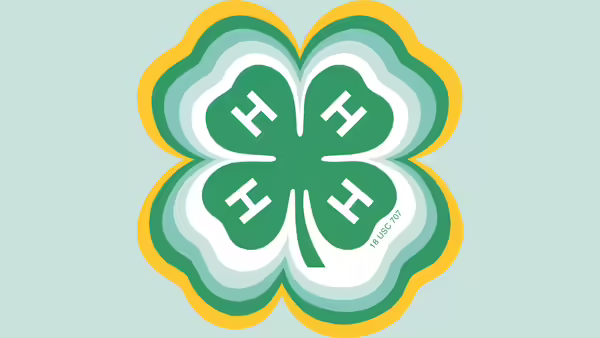 4-H logo