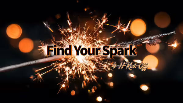find your spark