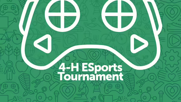 4-H ESports Tournament