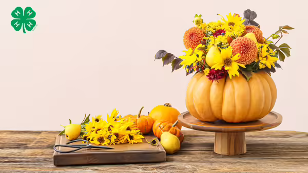 An autumn floral arrangement inside a hollowed-out pumpkin centerpiece. A green 4-H logo in the top left corner.