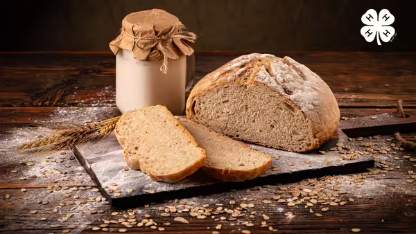 A loaf of sourdough bread with two slices cut, next to a jar of starter and a 4-H logo in the top right corner.