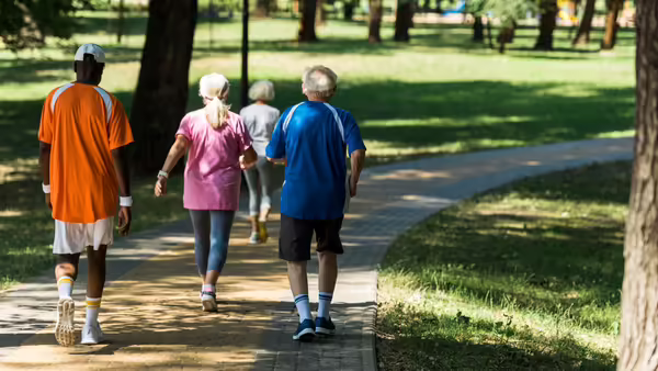 A group of people walking along a shaded path surrounded by green grass and trees.