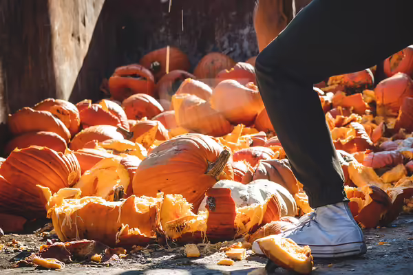 A person smashing a pumpkin in an open dumpster used for recycling and composting.