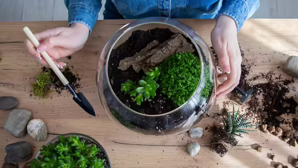 person with glass jar and plants
