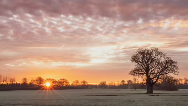 Morning sun over frost covered field