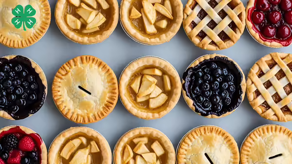Baking sheet filled with an assortment of small, baked mini pies with various crust designs, with a green 4-H logo in the bottom right corner.
