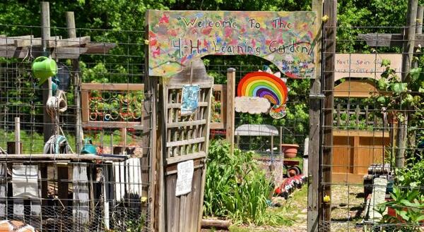 A learning garden with a gate and colorful displays