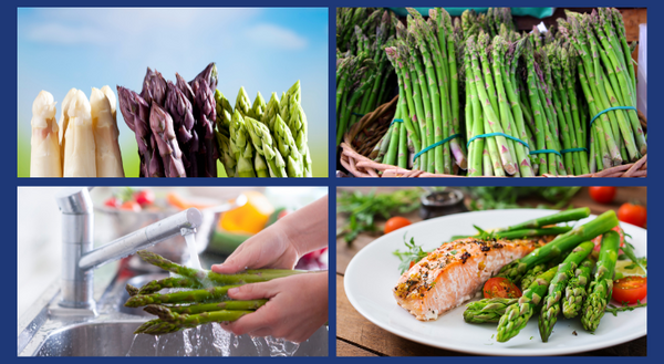 Four images. Image one - three varieties of asparagus: white, purple, and green. Image two a basket of green asparagus, image three washing green asparagus under running water, and image four, a plate with asparagus, salmon, and cherry tomatoes. 