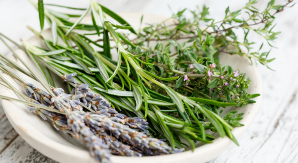 The 11 Best Thyme Substitutes - The Spice House
