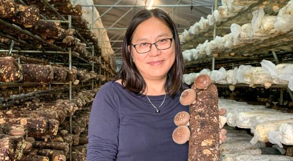 Mei Shao, owner of Sunny Oaks farm holding a mushroom log