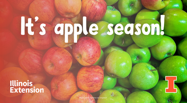 Red apples on the left side, green apples on the right side, with text that says "it's apple season!"