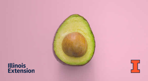 A half of an avocado face up against a pink background. 