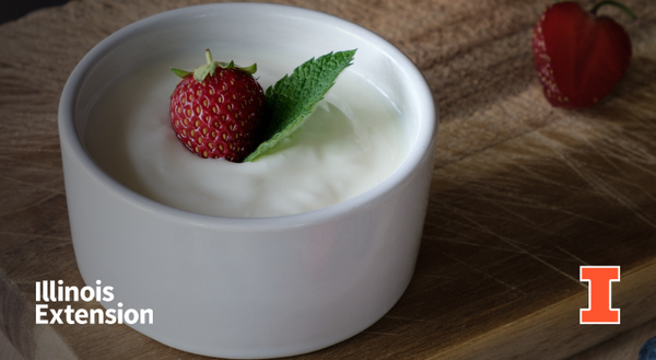 A white bowl of plain yogurt with a strawberry in the middle of the yogurt. Contains orange I block logo and Illinois Extension wordmark.