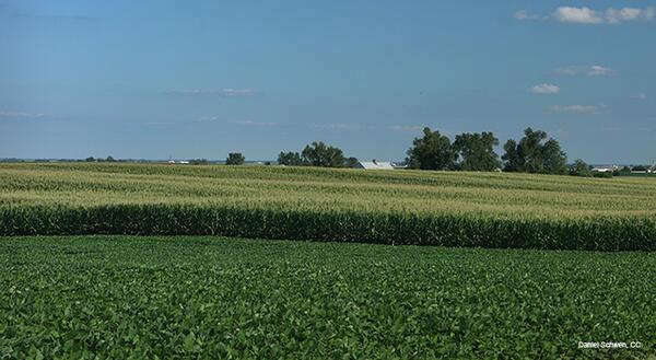 Corn fields near Royal, Illinois. Author: Daniel Schwen. Licensing: GFDL. Original cropped.