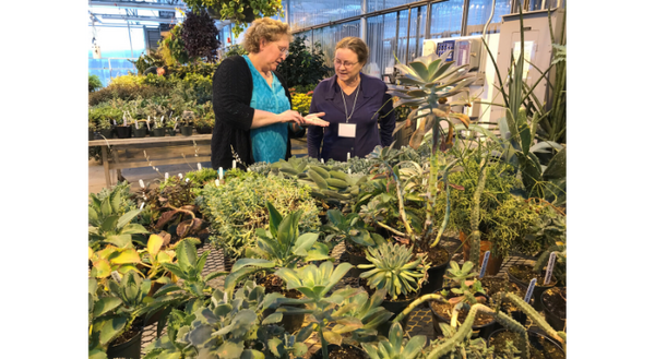 Parkland College Horticulture Instructor, Theresa Meers, teaches Master Gardener Trainee, Margaret Briskin, about succulents at tour of the Parkland greenhouses during the 2019 Master Gardner Training Course.