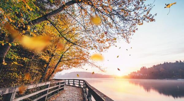 Autumn store in summer