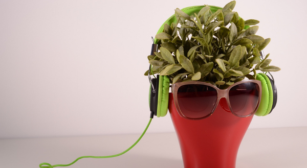 Plant inside listening to music