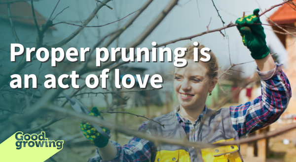 Proper pruning is an act of love young woman pruning tree with pruners