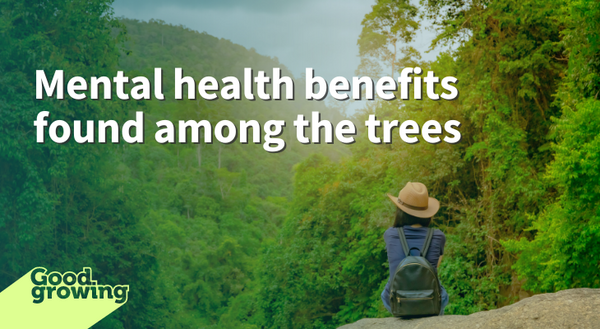 Mental health benefits found among the trees woman with hat sitting on rock outcrop looking over 