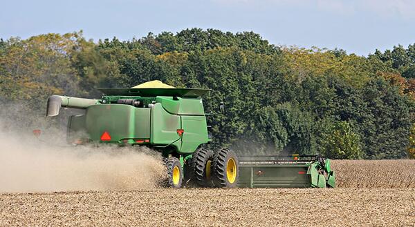 Corn Harvester in field