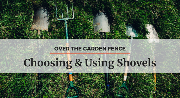 different types of shovels laying in the grass