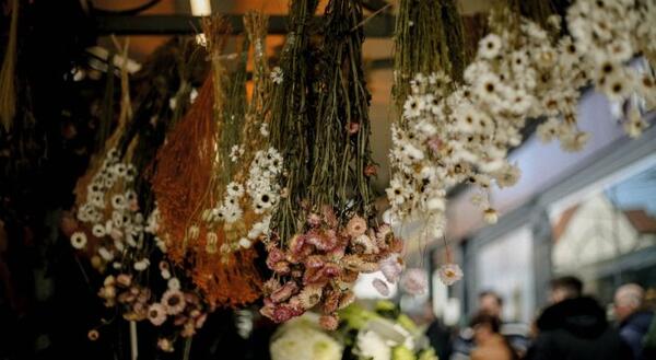 Bundles of white and pink flowers hang upside down to dry