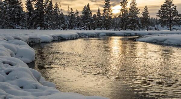Sunset behind evergreen trees on a snowy banked river