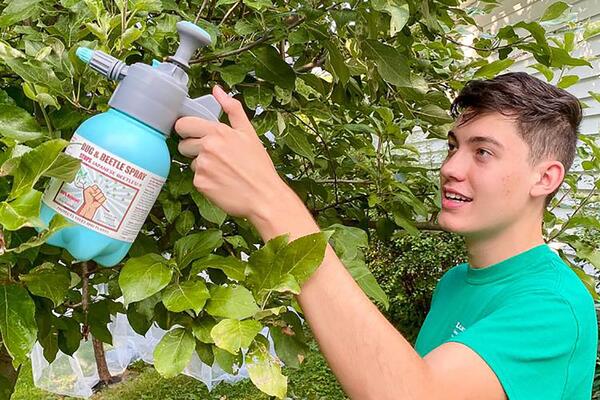 A young man uses a sprayer in a tree