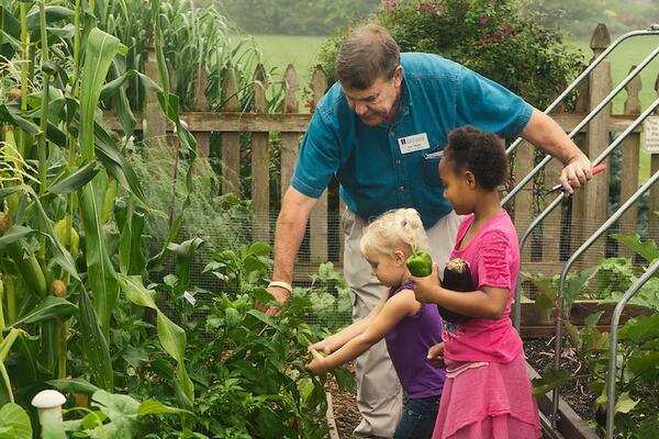 Master Gardener harvesting produce in garden with children