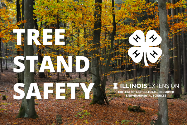 Graphic of tree stand safety text over photo of fall trees