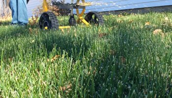 View from the ground of a person pushing a lawn spreader putting on fertilizer.