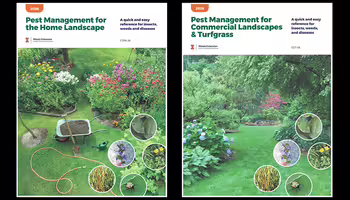 Pictures of the two handbook covers described in the article