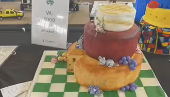 Cake displayed at State fair