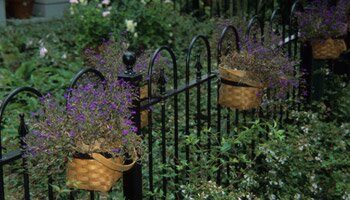 A fence holding small baskets with purple flowers
