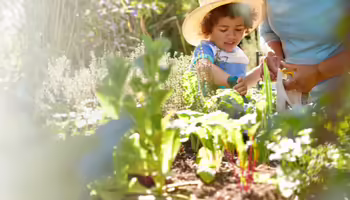 a child using a hand tool is seen through an eye-level view that looks through a garden bed