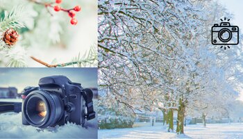 Image of a pine tree with pine cones and berries, an image of a camera sitting in the snow, and an image of trees with snow on their branches. 