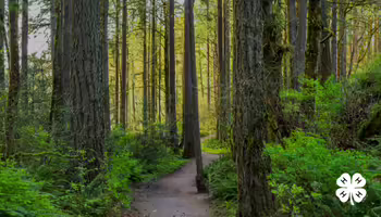 A walking trail with trees and greenery surrounding the path. A white 4-H clover in bottom right corner.