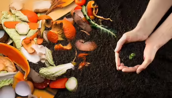 Hands with dirt and food scraps on ground