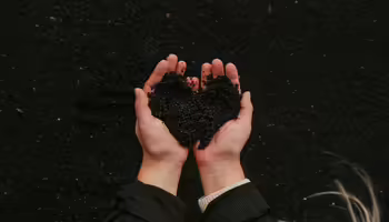 Hands holding soil above a raised bed.
