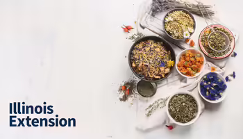 bowls of loose leaf tea 
