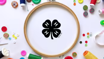 Embroidery hoop on white background with sewing accessories such as: buttons, thread, pins, etc. A black 4-H clover in the middle of the embroidery hoop.
