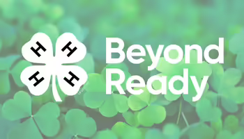 Beyond Ready and 4-h logo on top of a background of green clovers