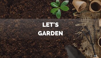 garden soil with starter pots, plants, and garden tools