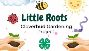Little Roots Cloverbud gardening Project 