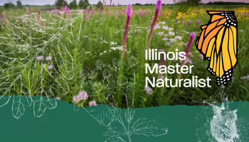 prairie image with logo